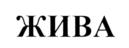 ЖИВА