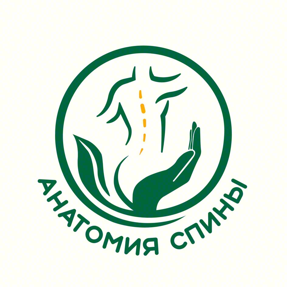 АНАТОМИЯ СПИНЫ