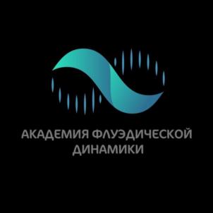 АКАДЕМИЯ ФЛЭУДИЧЕСКОЙ ДИНАМИКИ