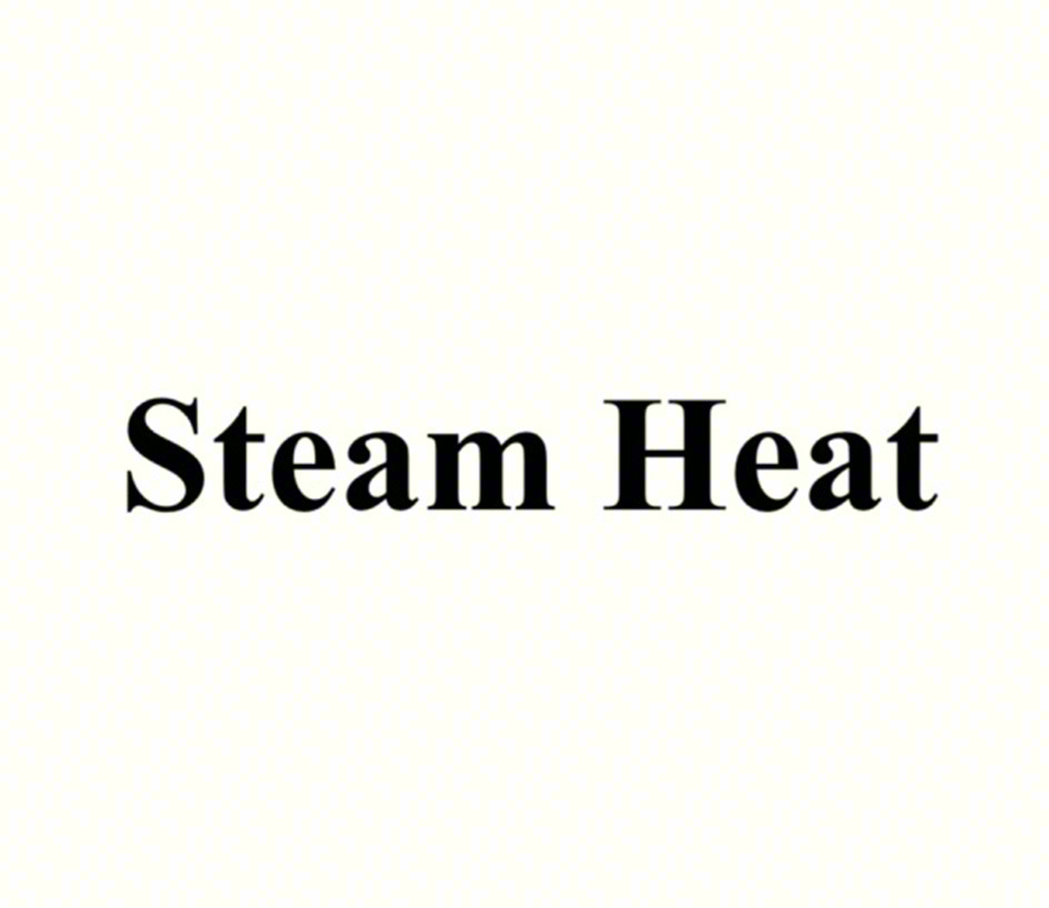 Steam Heat