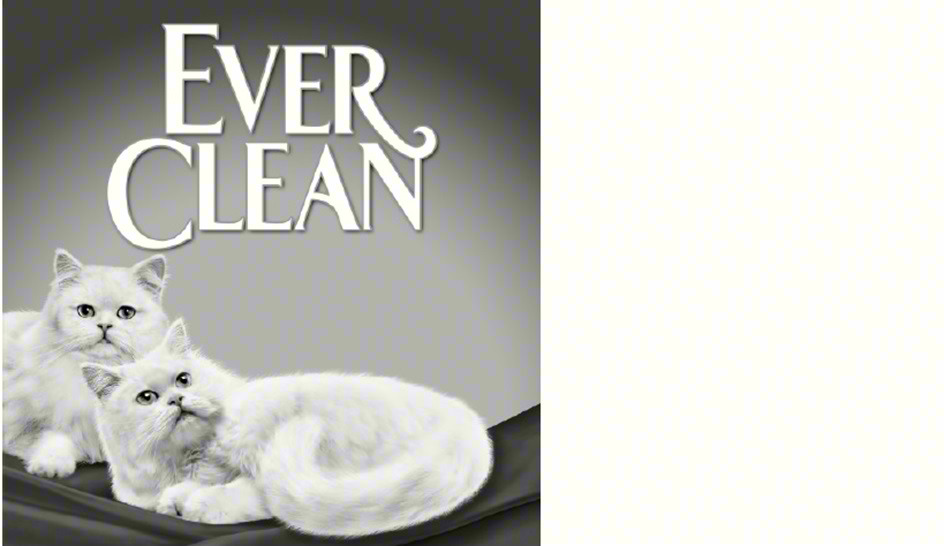 EVER CLEAN