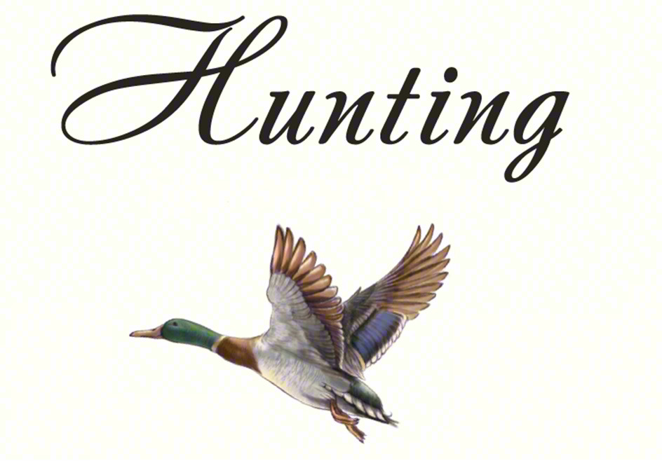 Изображение товарного знака Hunting