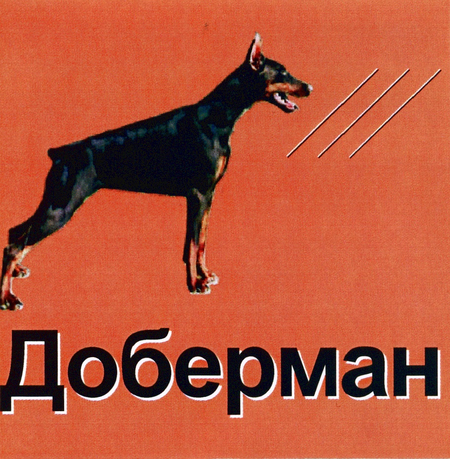 Доберман