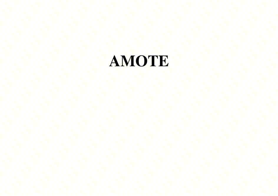 Изображение товарного знака AMOTE