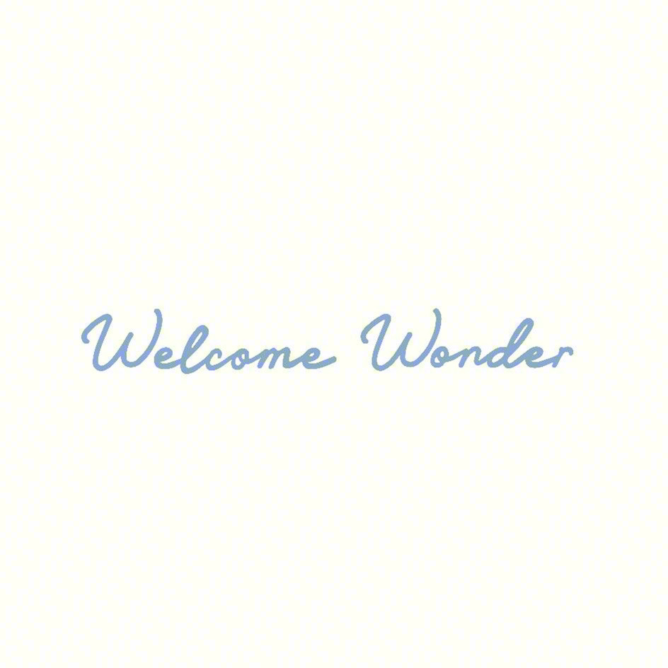 Welcome Wonder