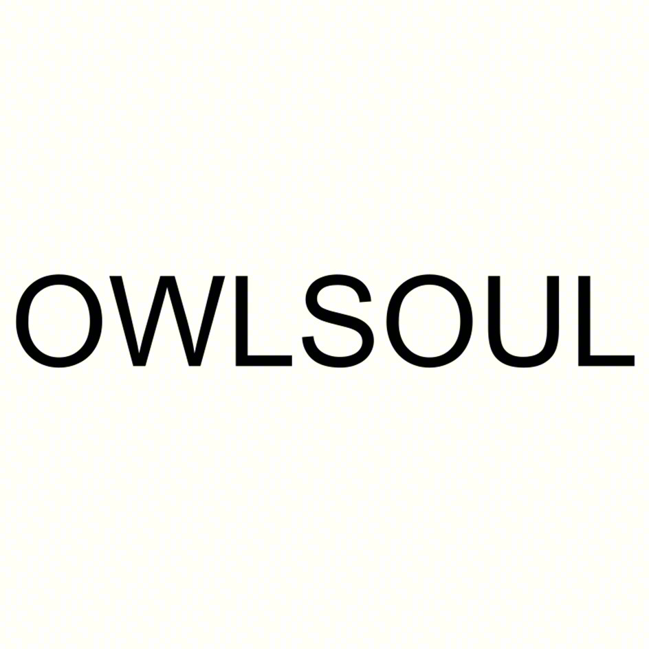 OWLSOUL