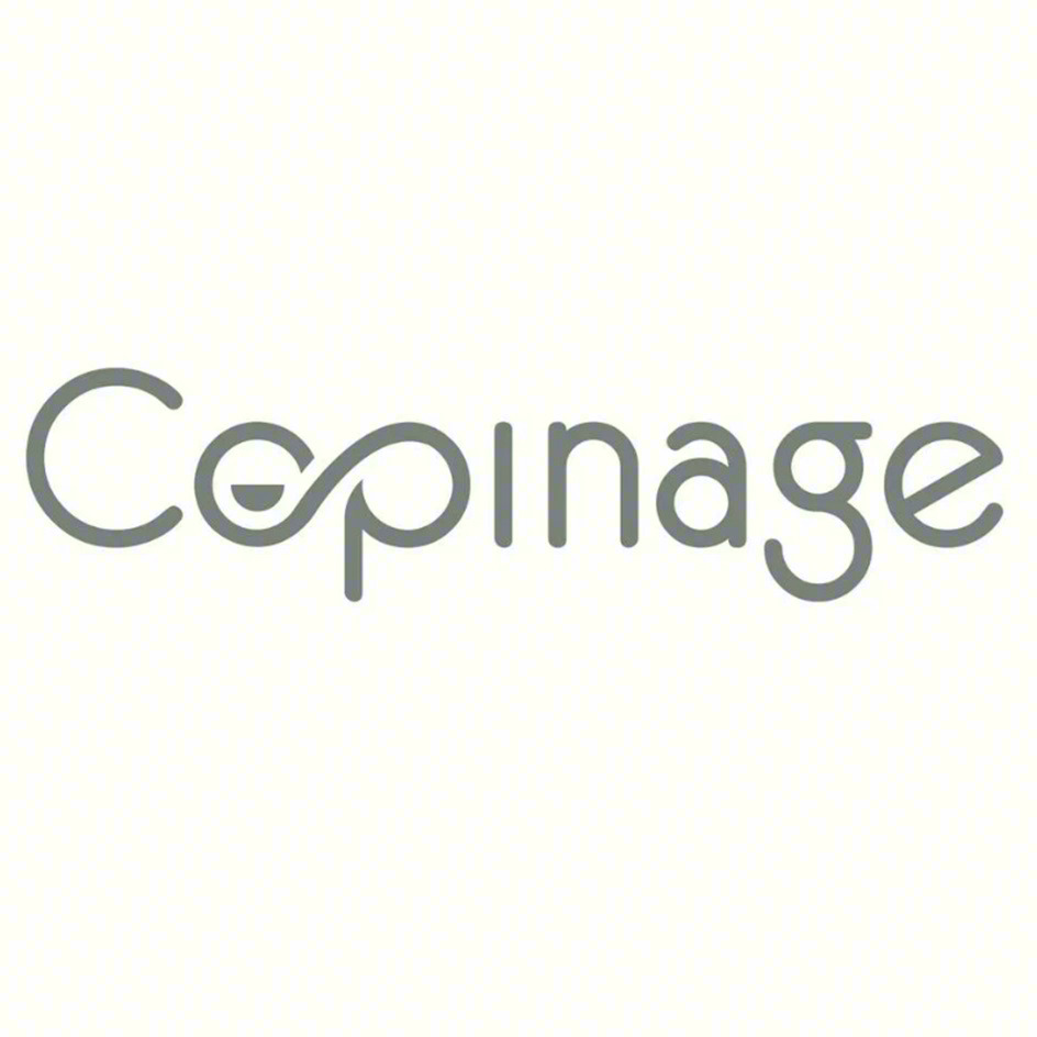 Изображение товарного знака Copinage