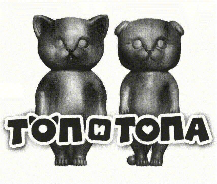 ТОПИТОПА