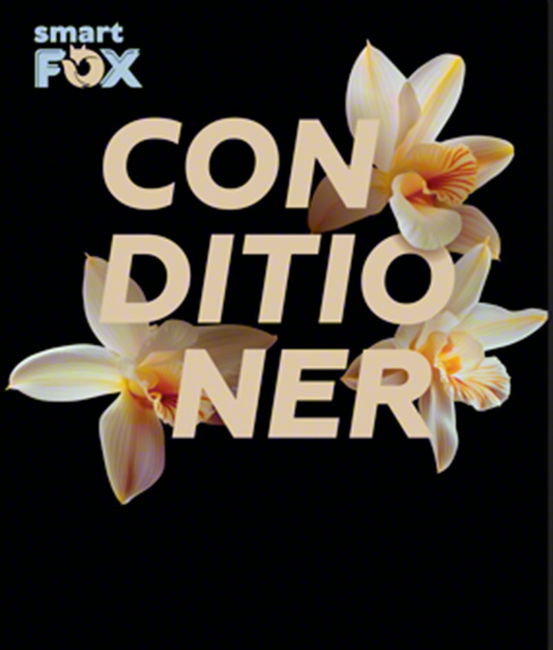 Изображение товарного знака smart FOX CON DITIO NER