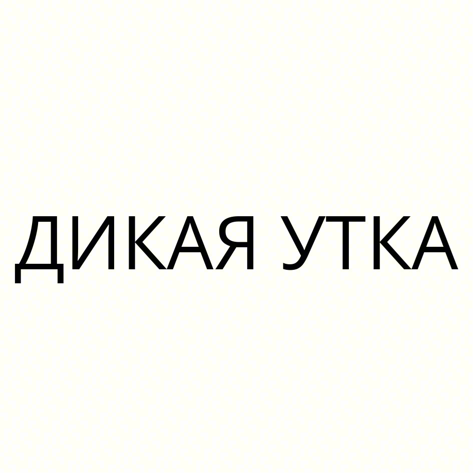 ДИКАЯ УТКА