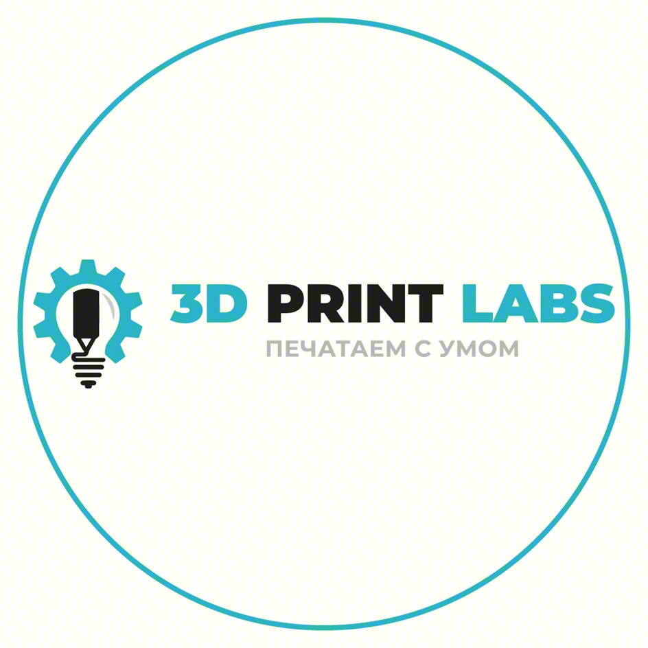 Изображение товарного знака 3D PRINT LABS ПЕЧАТАЕМ С УМОМ