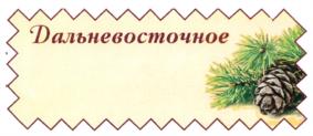 Дальневосточное
