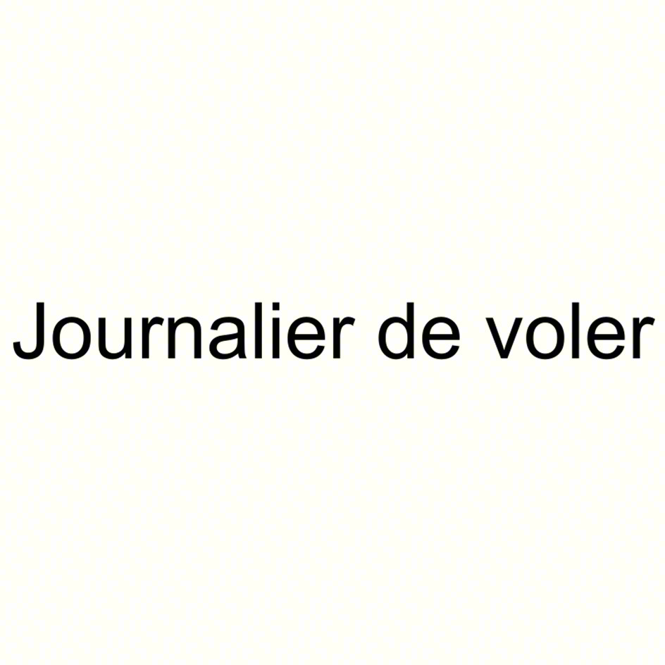 Journalier de voler