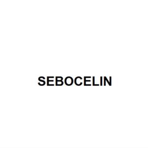 Изображение товарного знака SEBOCELIN
