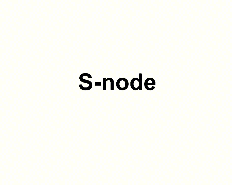S-node