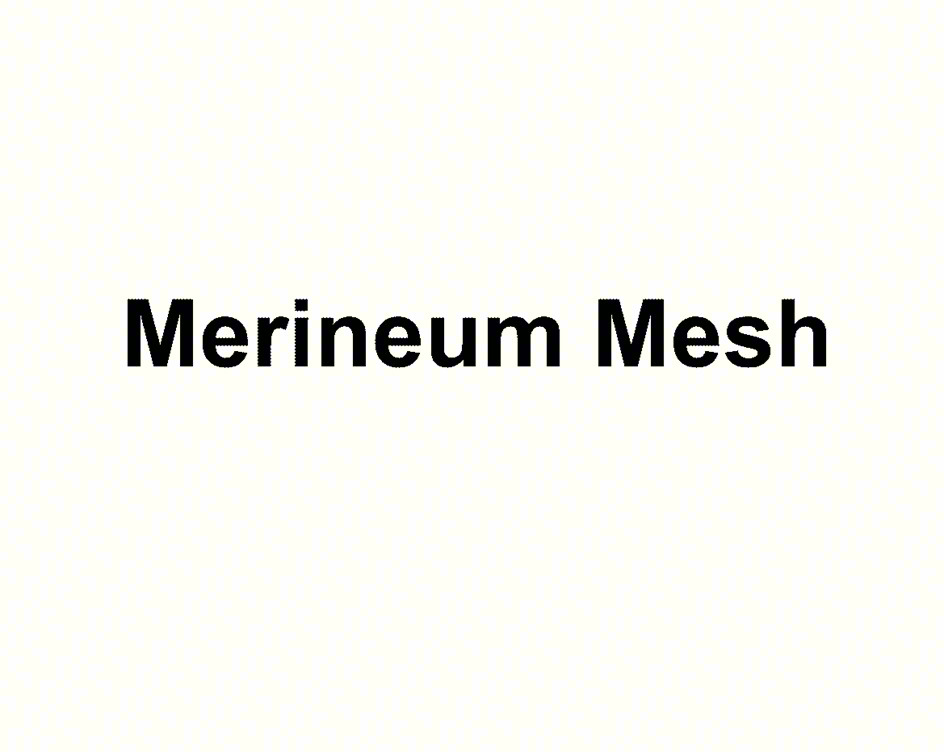 Изображение товарного знака Merineum Mesh