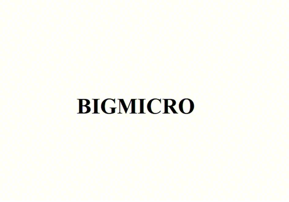 Изображение товарного знака BIGMICRO