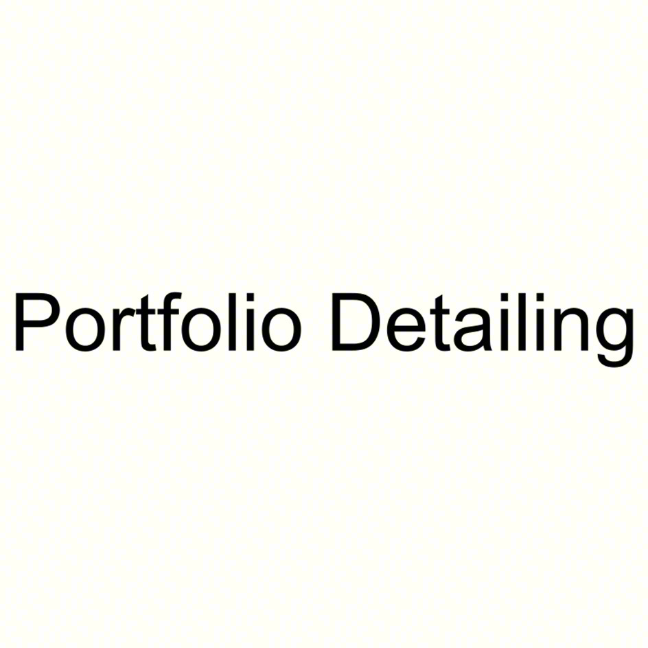 Portfolio Detailing