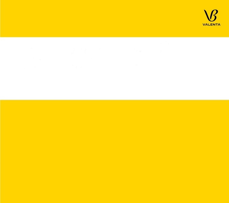 Изображение товарного знака VALENTA