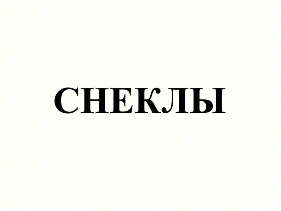 СНЕКЛЫ