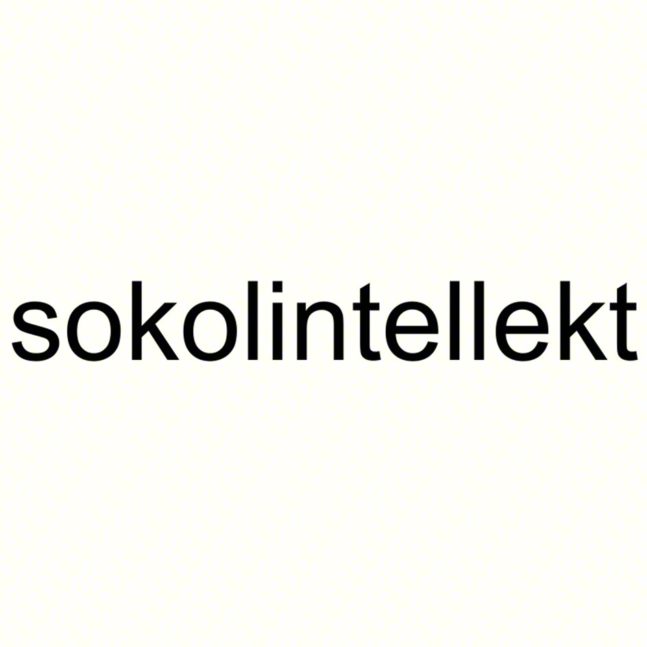 sokolintellekt