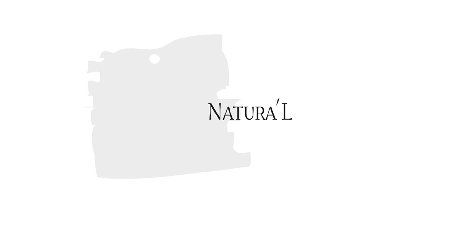 Изображение товарного знака NATURA’L