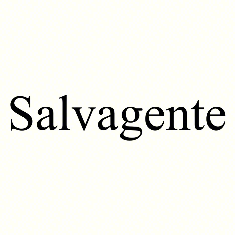 Salvagente