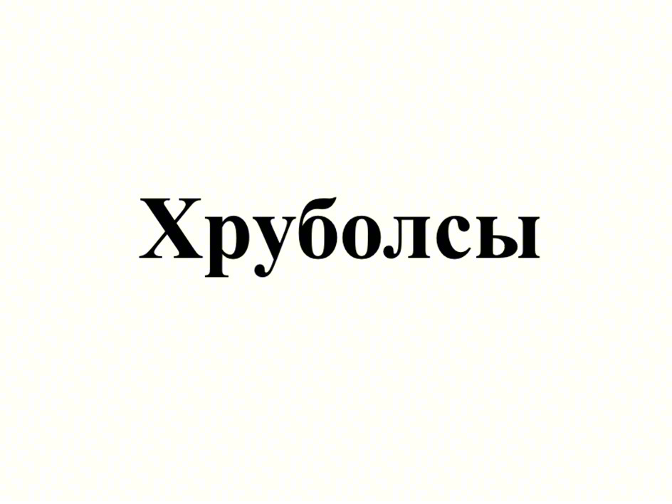 Изображение товарного знака Хруболсы