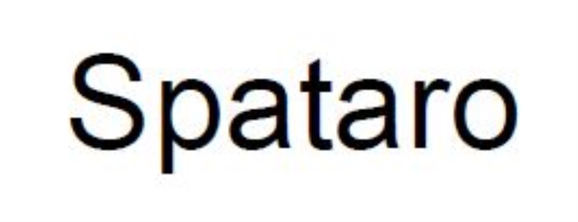 Изображение товарного знака (изобразительный знак)