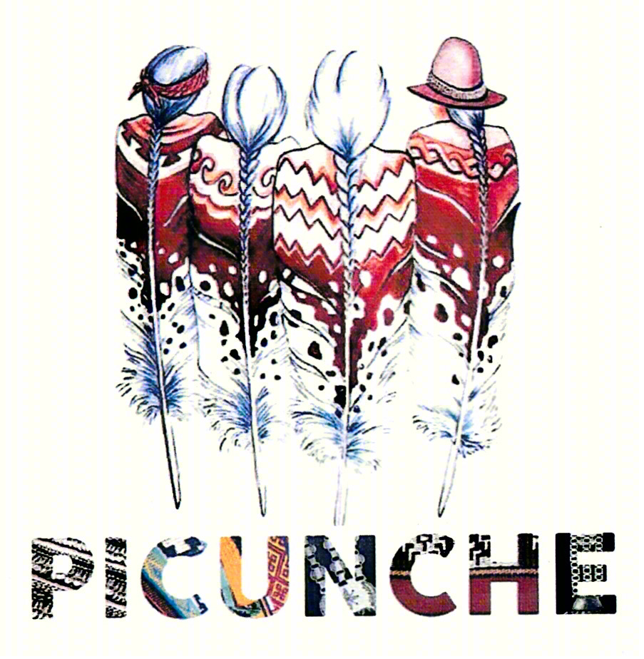 Изображение товарного знака PICUNCHE