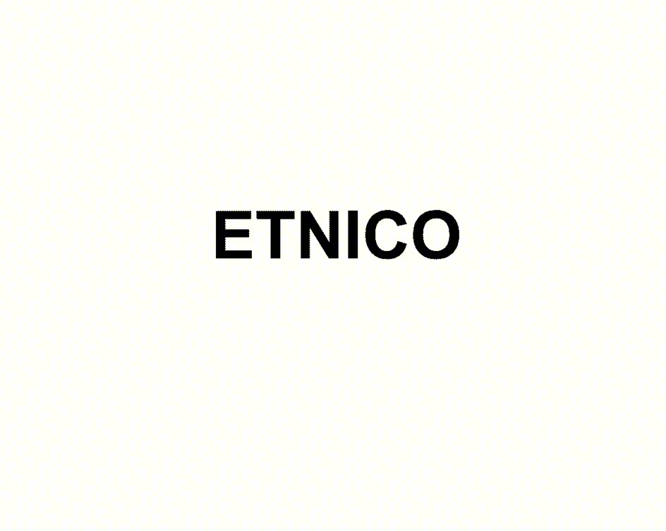 Изображение товарного знака ETNICO