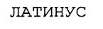 ЛАТИНУС