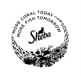 Изображение товарного знака MORE CORAL TODAY MORE FISH TOMORROW Sheba
