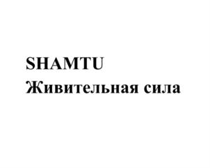 Изображение товарного знака (изобразительный знак)