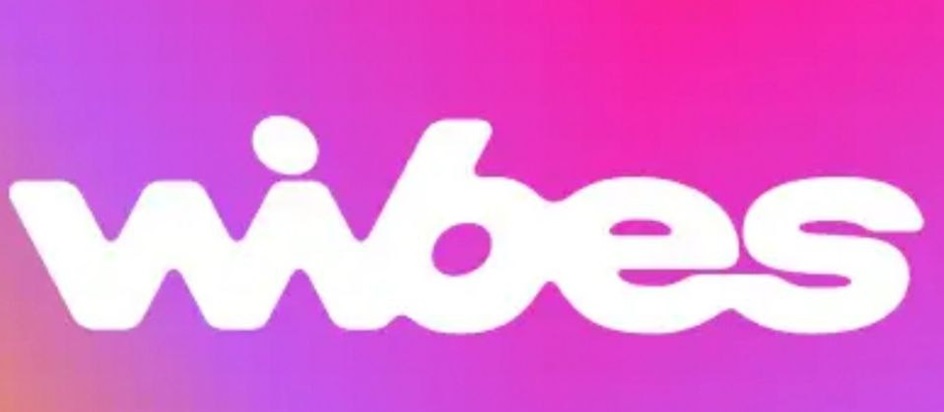 Изображение товарного знака wibes