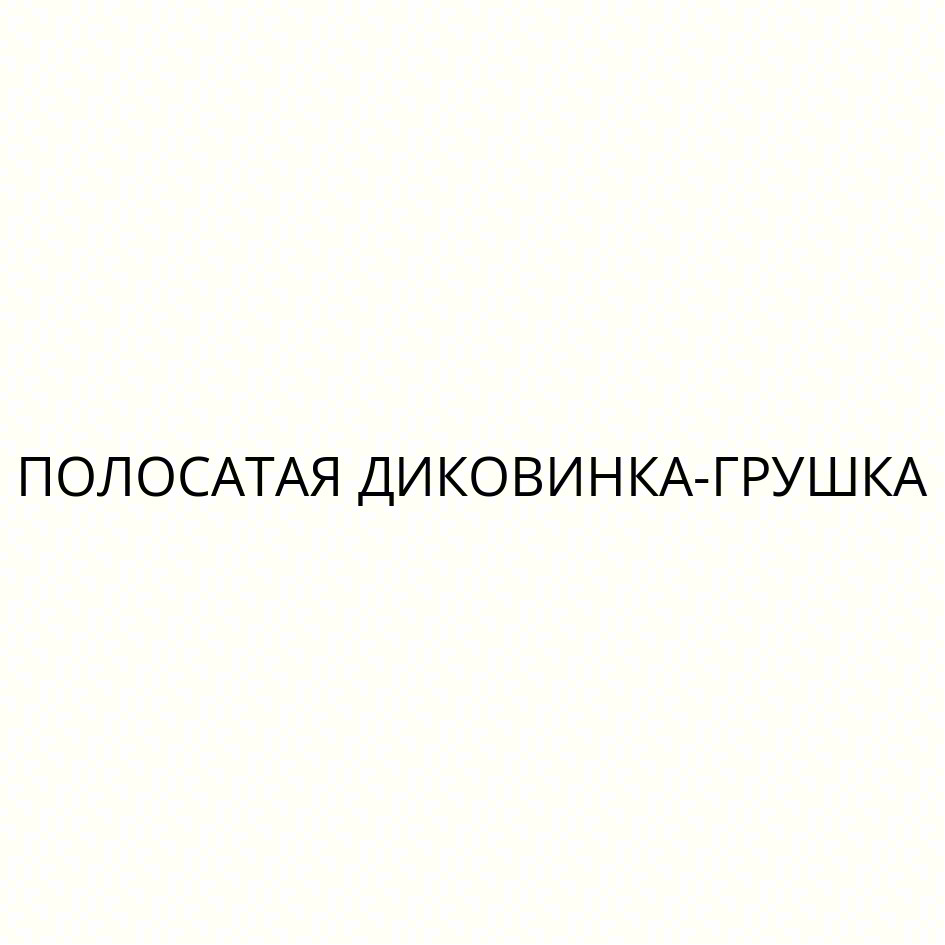 Изображение товарного знака (изобразительный знак)