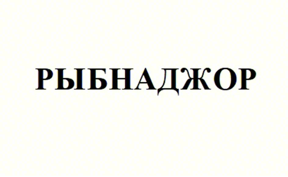 РЫБНАДЖОР