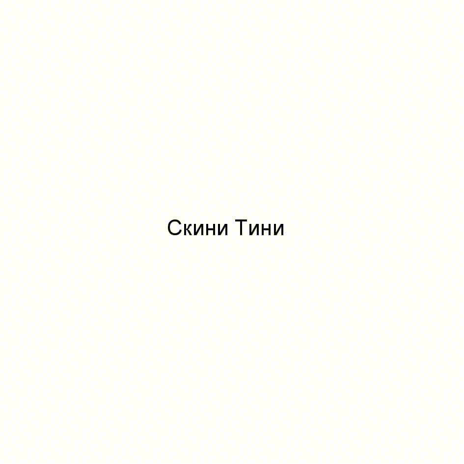 Изображение товарного знака Скини Тини
