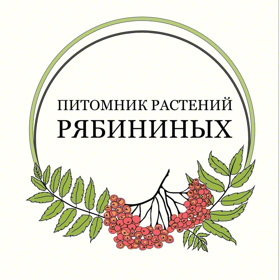 ПИТОМНИК РАСТЕНИЙ РЯБИНИНЫХ