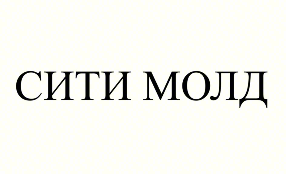 СИТИ МОЛД