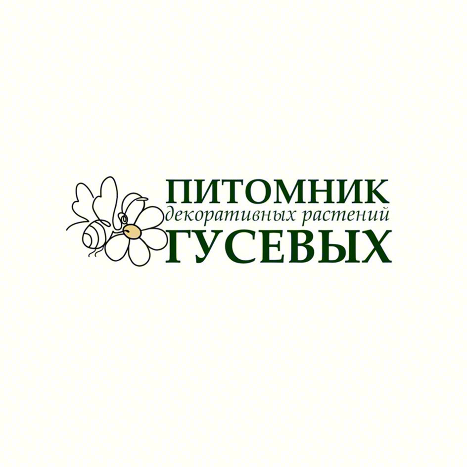 ПИТОМНИК декоративных растений ГУСЕВЫХ