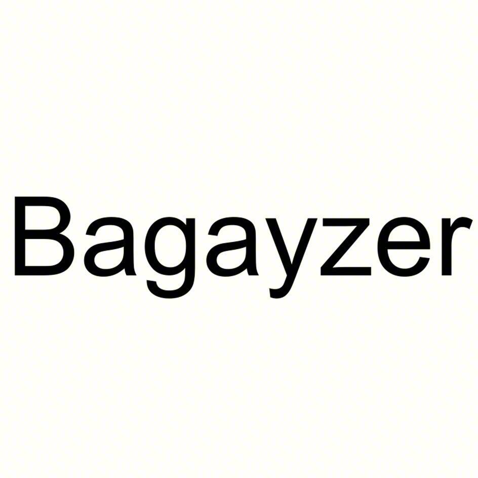 Bagayzer