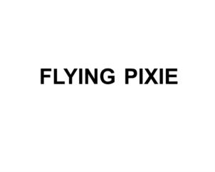 Изображение товарного знака FLYING PIXIE