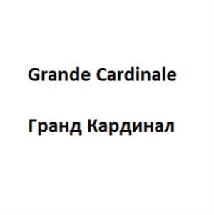 Изображение товарного знака (изобразительный знак)