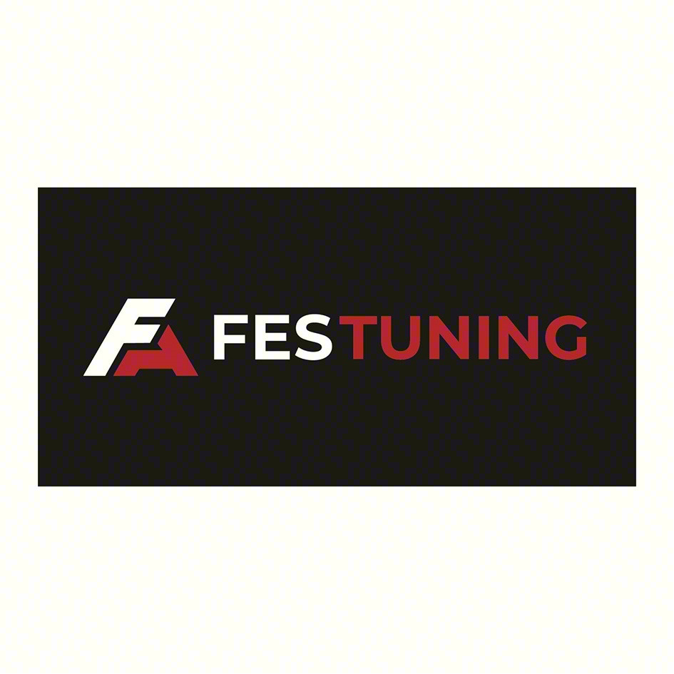 FESTUNING