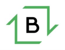 1B