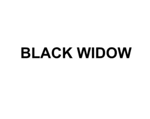 Изображение товарного знака BLACK WIDOW
