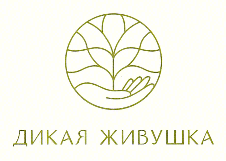 Изображение товарного знака (изобразительный знак)