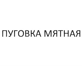 Изображение товарного знака ПУГОВКА МЯТНАЯ