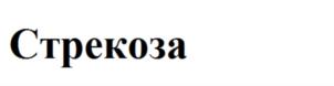 Изображение товарного знака (изобразительный знак)